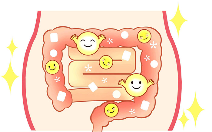 happy-gut Your gut works best clear of toxins and full of good bacteria.