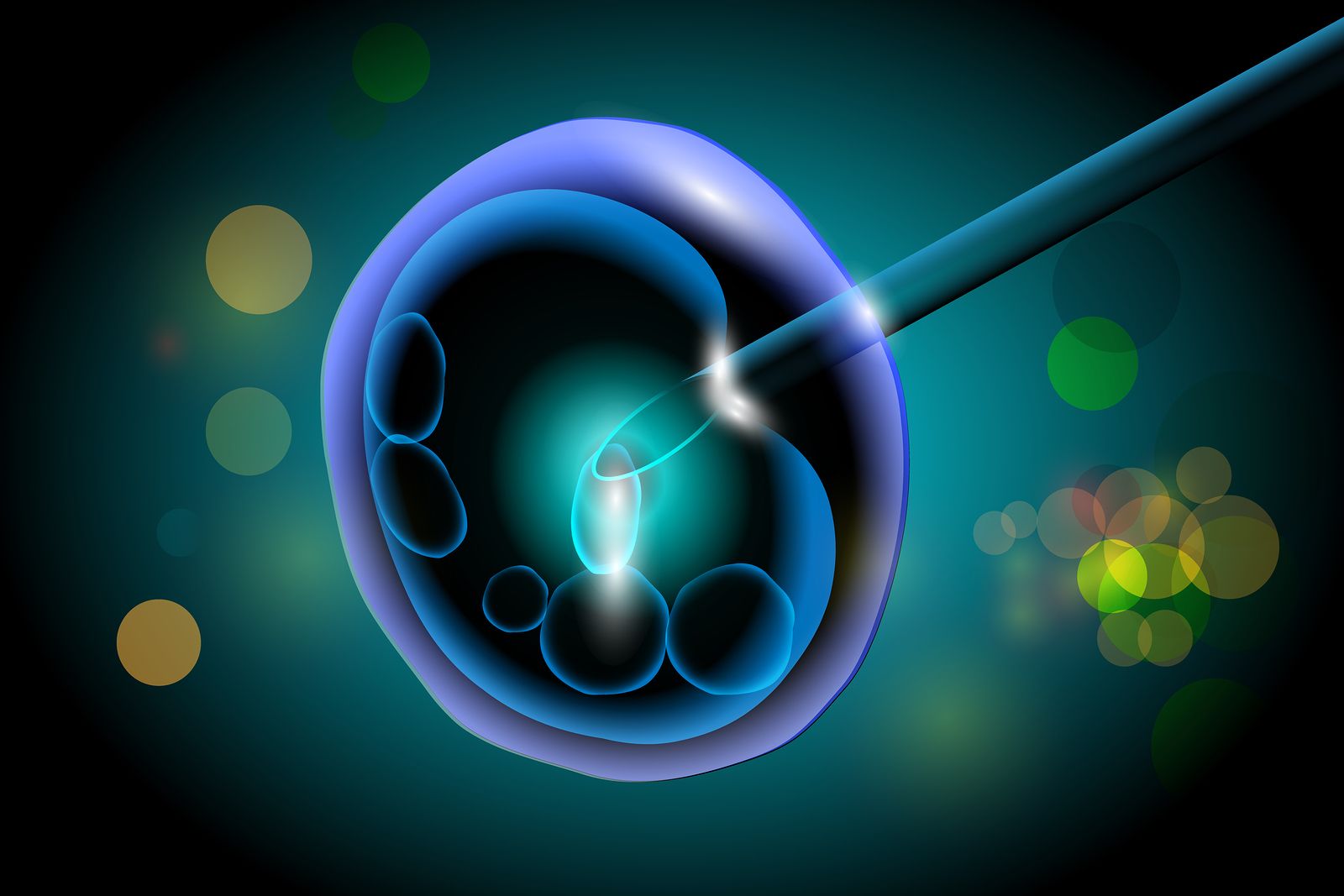 ivf and iui Acupuncture for Fertility Brisbane